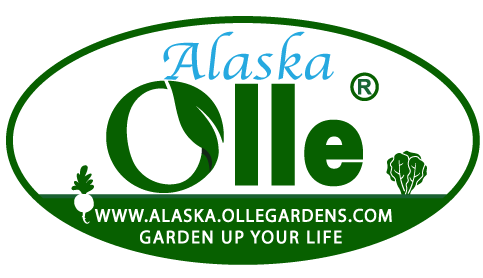 Alaska Olle Gardens