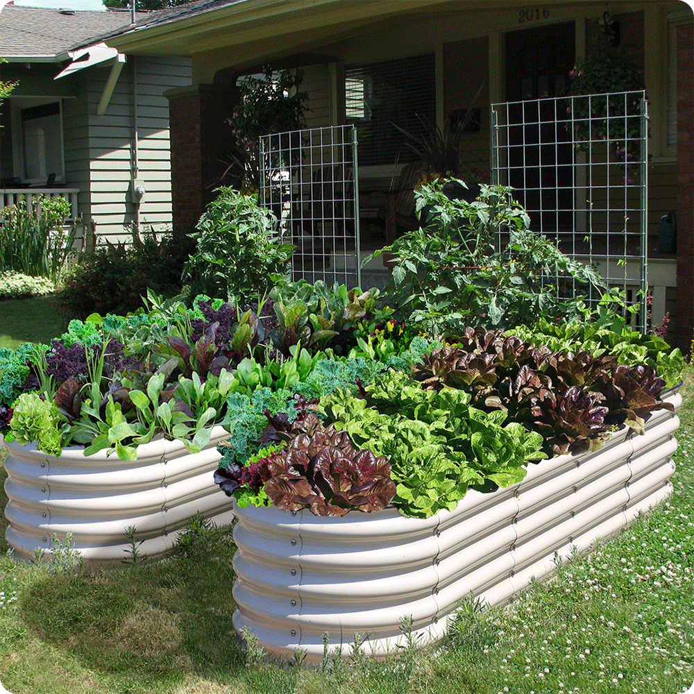 17" Tall 12-in-1 Metal Raised Garden Bed Kits